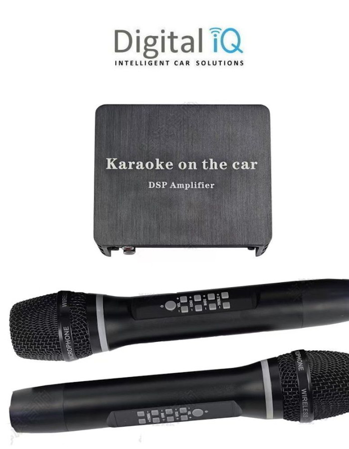 DIGITAL IQ AMPL KARAOKE (ΑΣΥΡΜΑΤΑ ΜΙΚΡΟΦΩΝΑ ΜΕ ΕΝΙΣΧΥΤΗ)