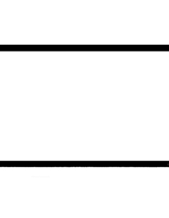 DIGITAL IQ FRAME 100